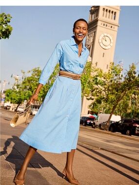 Talbots Light Blue Pinstriped Button-Front Shirt Dress
